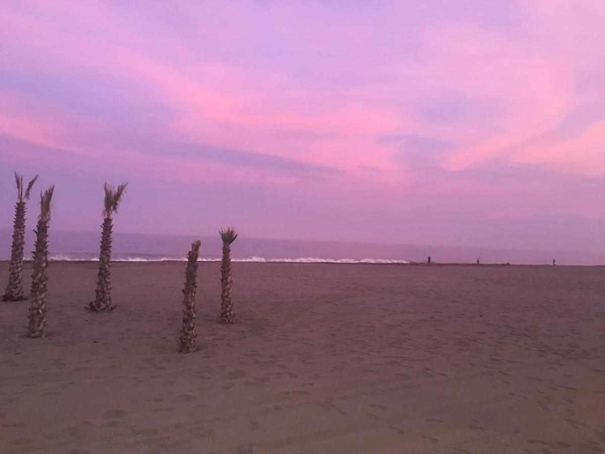 Chicflat San Roque Estepona Reformado En 2025 エクステリア 写真